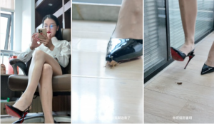 办公室踩蝗虫 -97LZTD-146175